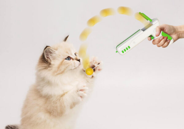 17023885671702388567dsf12.jpg Caña con pluma y bola para gatos