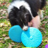 170239206017023920601e7a7fe0-21df-493e-b59a-43b0e86e82fd.jpg Frisbee flexible de goma para perros