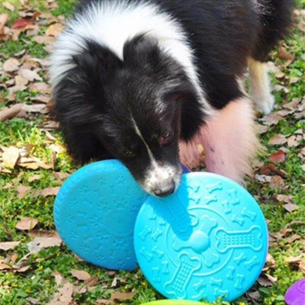 170239206017023920601e7a7fe0-21df-493e-b59a-43b0e86e82fd.jpg Frisbee flexible de goma para perros