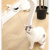 Yoyo electrónico para gatos