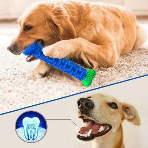 Juguete cepillo de dientes para perros
