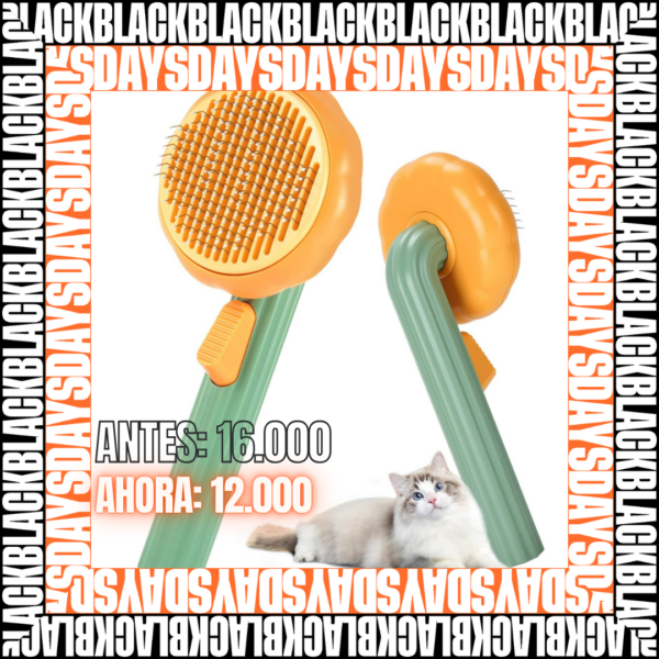 1763144450Post20Instagram20Descuento20Gym20Gimnasio20Moderno20Naranja20Y20Negro2028829.png Cepillo removedor de pelo calabaza