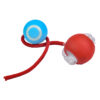 1765898894AZG_0869.jpg Pelota interactiva con cola para gatos