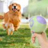 Lanzador automático de comida para mascotas